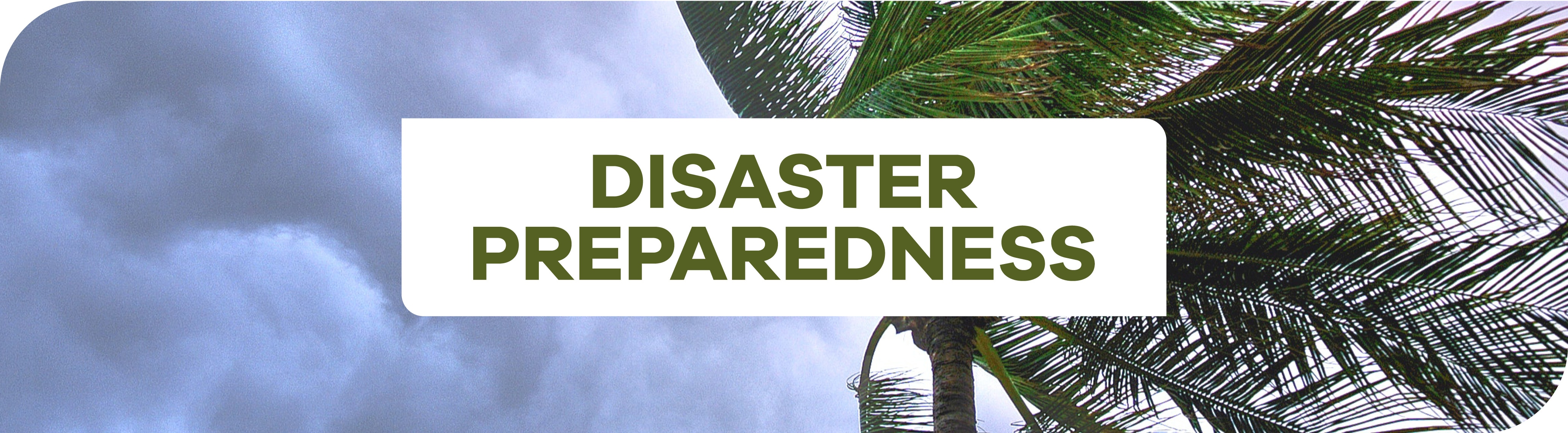 1_Website-Headers-Storm-Update