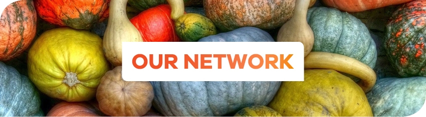 Network