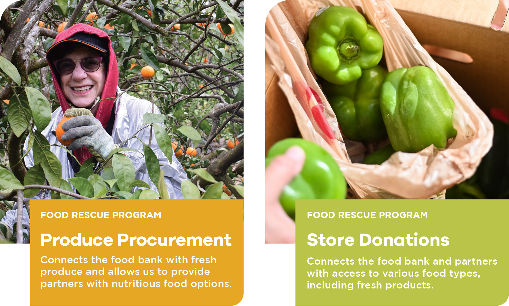 Program Snapshot Food Rescue