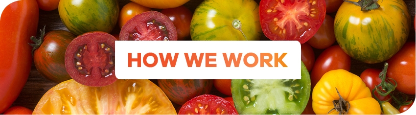 Wh How We Work 3