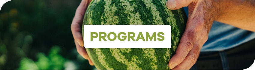 Wh Programs