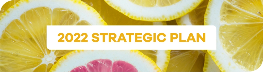 Wh Strategic Plan