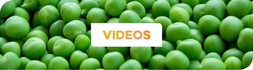 Wh Videos