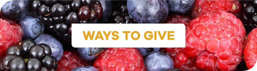 Wh Ways To Give1