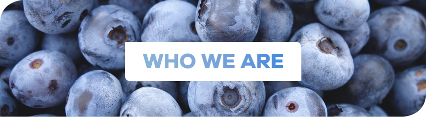 Wh Who We Are 3