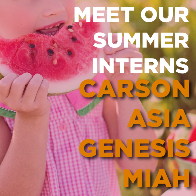 Blog summer interns 01